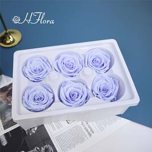 HFlora, venta al por mayor, alta calidad, cabeza de Rosa preservada eterna para siempre, cabeza de flor para siempre para el Día de San Valentín del amante - Product Image 6