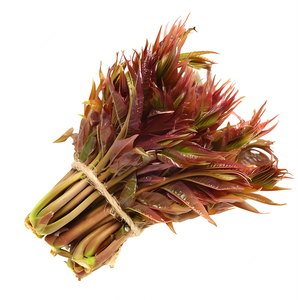 Poudre d'extrait de <span class=keywords><strong>Toona</strong></span> <span class=keywords><strong>Sinensis</strong></span> pure naturelle de haute qualité 10:1, poudre hydrosoluble de <span class=keywords><strong>Toona</strong></span> <span class=keywords><strong>Sinensis</strong></span>, extrait végétal de Chine - Product Image 3