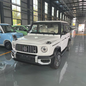 Nouveau véhicule tout-terrain 4x4 à basse vitesse 2025 – SUV de mobilité à faible consommation - Product Image 4