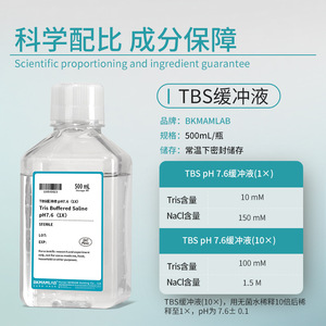 สารละลายบัฟเฟอร์ Bkmamlab Tbs ขนาด 500 มล. ค่า pH 7.6 สำหรับการตรวจวิเคราะห์ภูมิคุ้มกันทางเนื้อเยื่อแบบตะวันตก - Product Image 1