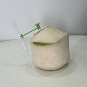 ที่เปิดมะพร้าวพลาสติกสำหรับเปิดรูมะพร้าว พร้อ<span class=keywords><strong>ม</strong></span>หลอดดูด โคโค่ <span class=keywords><strong>แจ</strong></span>็ค - Product Image 3