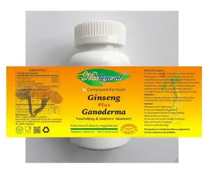 greentea ginseng Suppliers-Reishi मशरूम Ganoderma GINSENG कैप्सूल