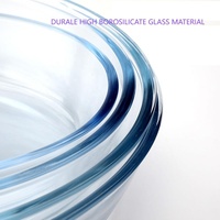 Plateau de cuisson en verre à haute teneur en borosilicate de forme ovale Plats de service profonds Ensemble d'assiettes à poisson en verre Ensemble de plats en verre transparent durable