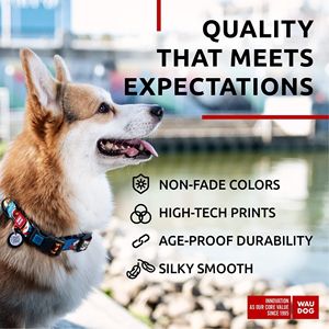 Collier pour chien Waudog en nylon réglable avec motif de dessin animé, boucle de sécurité, pour petits chiens, toutes saisons, style moderne - Product Image 5