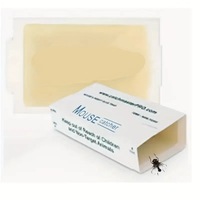 Pièges à colle pour souris et rat de la chambre à coucher de la cuisine intérieure Panneaux adhésifs en papier solide