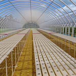 Système d'agriculture hydroponique pour la culture de fraises et de champignons, kit de serre en film plastique PE transparent - Product Image 5