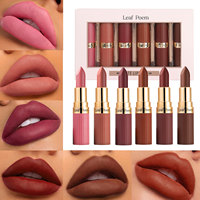 Ensemble de maquillage européen et américain avec six rouges à lèvres mats longue durée, imperméables, hydratants, faciles à appliquer