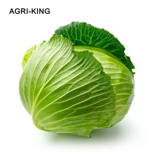 Prix <span class=keywords><strong>grossiste</strong></span> chou frais chinois - Product Image 1
