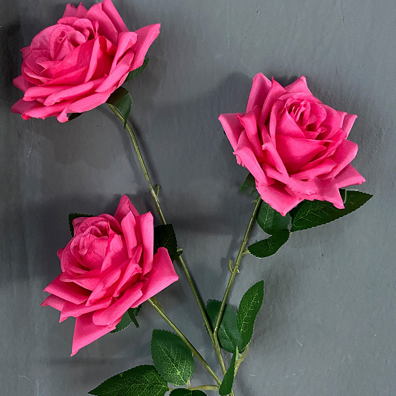 #1 chaude Rose fleur