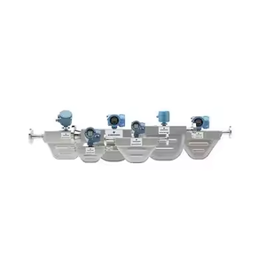 เซ็นเซอร์วัดอัตราการไหลแบบ Coriolis ของ Rosemounts รุ่น R100S ของแท้ 100% ขายตรงจากโรงงาน - Product Image 1