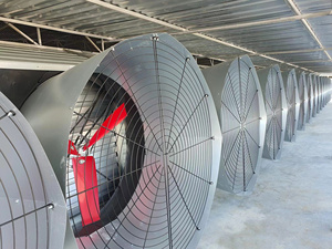 Ventilateur d'extraction 54 pouces avec pales rouges et volets coniques pour l'élevage avicole et la ventilation des usines - Product Image 6