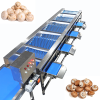 KEHONG Merk KHFX-PD-3J Onderhoudsarme 220V Groente- en Fruit sorteermachine voor gember, kurkuma en zoete aardappel verwerking |