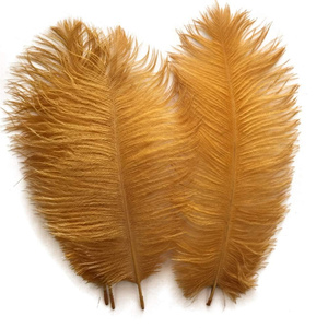 Plumes d'autruche Femina <span class=keywords><strong>24</strong></span>-26 pouces pour décoration de costumes de carnaval - Product Image 1