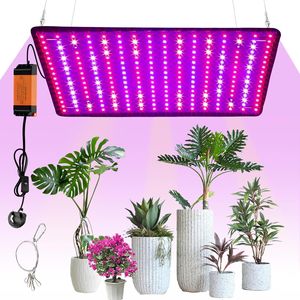 <span class=keywords><strong>Lampe</strong></span> de culture <span class=keywords><strong>LED</strong></span> à spectre complet pour <span class=keywords><strong>semis</strong></span> de fleurs et de plantes succulentes, panneau d'éclairage intérieur pour plantes, 256 <span class=keywords><strong>LED</strong></span>, lumière de croissance pour plantes - Product Image 1