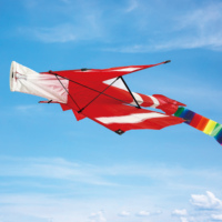 Cerf-volant d'avion 3D Weifang, marque OEM, avec longue queue
