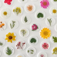 Vente en gros de fleurs séchées pressées décoratives naturelles pour l'artisanat d'art en résine timbre de sceau de cire