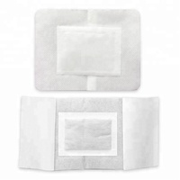 Patch pour les pieds de désintoxication nettoyant pour la diffusion de la santé