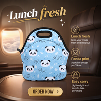 Sac à déjeuner isotherme en néoprène avec fermeture éclair, imperméable, pliable, portable, glacière à main pour pique-nique en extérieur, boîte à lunch pour étudiants