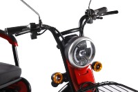 Tricycle électrique 3 places avec moteur arrière 1000W 48V/60V, cadre en aluminium et acier et 3 roues pour le transport d'animaux