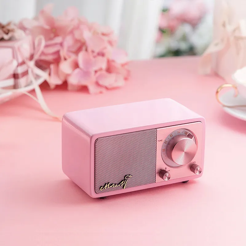 Vofull Pocket Pink Birthday Gift Electrical Speaker Multifunction Voice Portable Recorder FM Radio