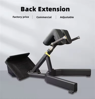 TAP Gym commercial utilisant une machine d'extension du dos à 45 degrés Banc de presse romain réglable Banc d'hyperextension