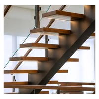 Escalier à monopoutre en acier chromé avec marches en bois Zebrano, balustrade en verre transparent et éclairage sous les marches