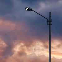 Lampadaires LED modulaires à tête réglable, étanches IP66, 50W, pour projets d'éclairage routier et urbain