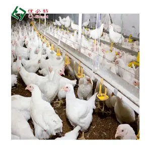 Bebedouro/alimentador automático para frangos de corte, equipamento para criação de frangos, galpão de poedeira, equipamento ideal para aves, preço agradável