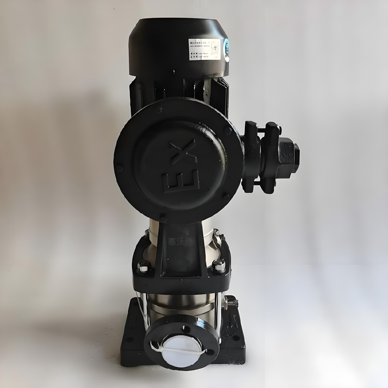 Wholesale Price 220V Booster Pump Vertical