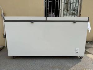 508Lソーラー冷凍庫DC24V大型横型冷凍庫卸売チェスト型冷凍庫 - Product Image 2