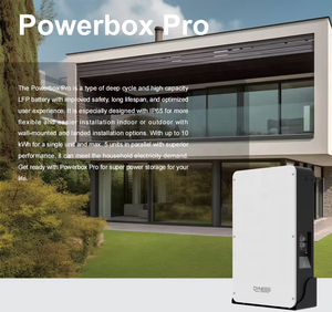 <span class=keywords><strong>Dyness</strong></span> PowerBox Pro 51,2 V 10.24kWh -- 512kWh Bajo voltaje Montado en la pared de pie para el inversor híbrido de almacenamiento de energía solar - Product Image 3