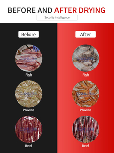 เครื่องอบแห้งเนื้อหมูแบบถาด ราคาดี ขายดี พร้อมตู้อบแห้งแตงกวาอัตโนมัติ - Product Image 3
