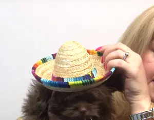 MTC-006 Mexican Sombrero Stype Mini Size Straw Hat For Cat And Dogs' Birthday Grass Pet Straw Hat In Party