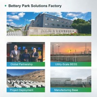 Cellule LiFePO4 HIGEE 314Ah à faible atténuation pour stockage d'énergie, 8000 cycles, pour projet de stockage intégré éolien-solaire