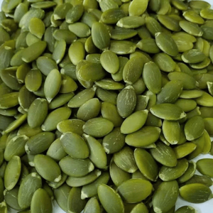 Premium Pumpkin <strong>Kernels</strong> Grade a Factory Direct Bulk Supply Wholesale Air Dried Ningxia Export Manufacturer - Product Image 3