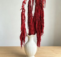 Décoration suspendue en amarante naturelle séchée et préservée, faite à la main, de haute qualité, pour mariage, Nouvel An et Noël