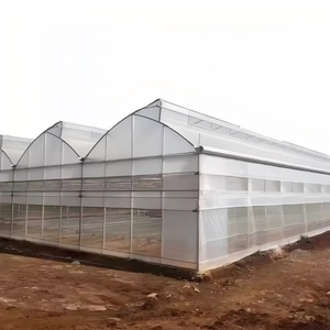 Invernadero Tipo Túnel Pequeño de un Solo Tramo, Diseño Plegable, Película de PE Transparente Estable, Fácil Montaje, Cultivo de <span class=keywords><strong>Remolacha</strong></span> por Temporada - Product Image 2