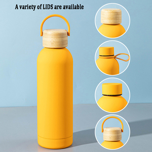 Bouteille d'eau thermique portable en acier inoxydable de 500ml pour camping flacons isolés sous vide à double paroi avec petite bouche pour <span class=keywords><strong>voyage</strong></span> - Product Image 3