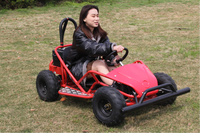 Buggy électrique, Go Kart, 1000w