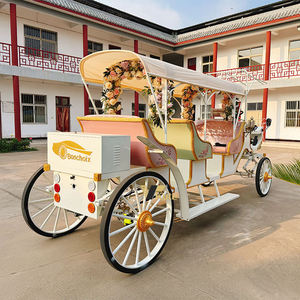 Chariot de tourisme à chevaux pour visites urbaines, faible MOQ, vente en gros - Product Image 4