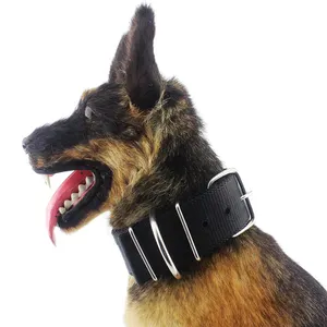 Điều Chỉnh 2 Inch Chiều Rộng Heavy Duty Tough Nylon Cổ Điển Webbing Dog Collar Với Thép Không Gỉ Kim Loại Buckle