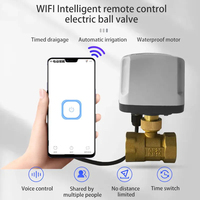 Katup Bola Listrik 2 Arah 3/4" dengan Kontrol Jarak Jauh WiFi untuk Air, Konstruksi Kuningan yang Dapat Disesuaikan OEM