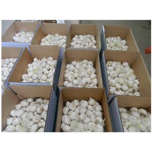 高品質ゴールデンオーガニック玉ねぎ輸出新鮮赤玉ねぎ新物卸売真空パック - Product Image 2