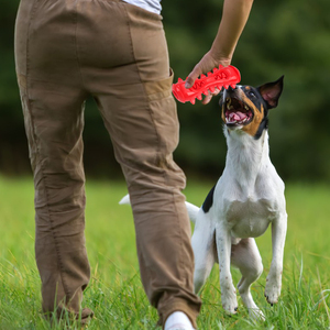 Giocattoli da Masticare per Cani Interattivi ed Ecologici in TPR Non Tossico con Pulizia dei Denti e Design Cartoon Resistente - Product Image 6