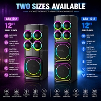 Enceinte de fête haute puissance CSN-612 de 12 pouces avec lumières LED RGB dynamiques, système de sonorisation karaoké sans fil, enceinte portable
