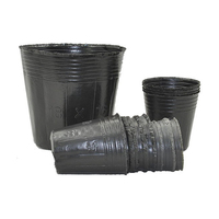 Pot de semis en plastique noir pour pépinière, serre et jardin domestique, idéal pour la plantation et la germination - Vente en gros directe usine