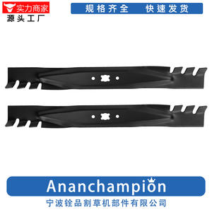 Cuchilla de Repuesto Negra A18167 2 para Cortacésped Ningbo Quanpin, para Usuarios de Cortacéspedes - Product Image 4