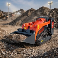 Chargeurs compacts sur chenilles à moteur EPA personnalisés, à essence, avec accessoire cisaille à arbres