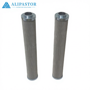 Elemento Filtrante Idraulico Avanzato per Purificazione Superiore dell'Olio 01E/210.25VG.16.S.P.D 01E.240.25VG.30.E.V - Product Image 1