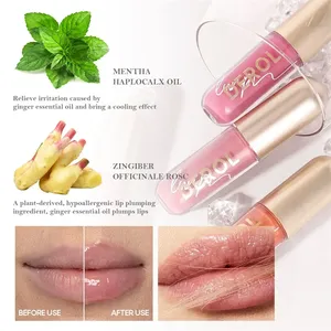 Fournisseur en gros de produits magiques Acide hyaluronique organique Moisy Lip Tint Shimmer pompant Glossture Liquid Lipstick Gloss - Product Image 3